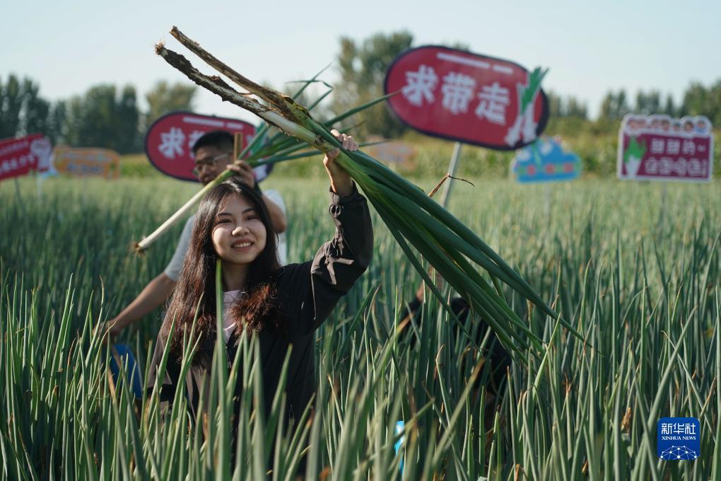 long8下载